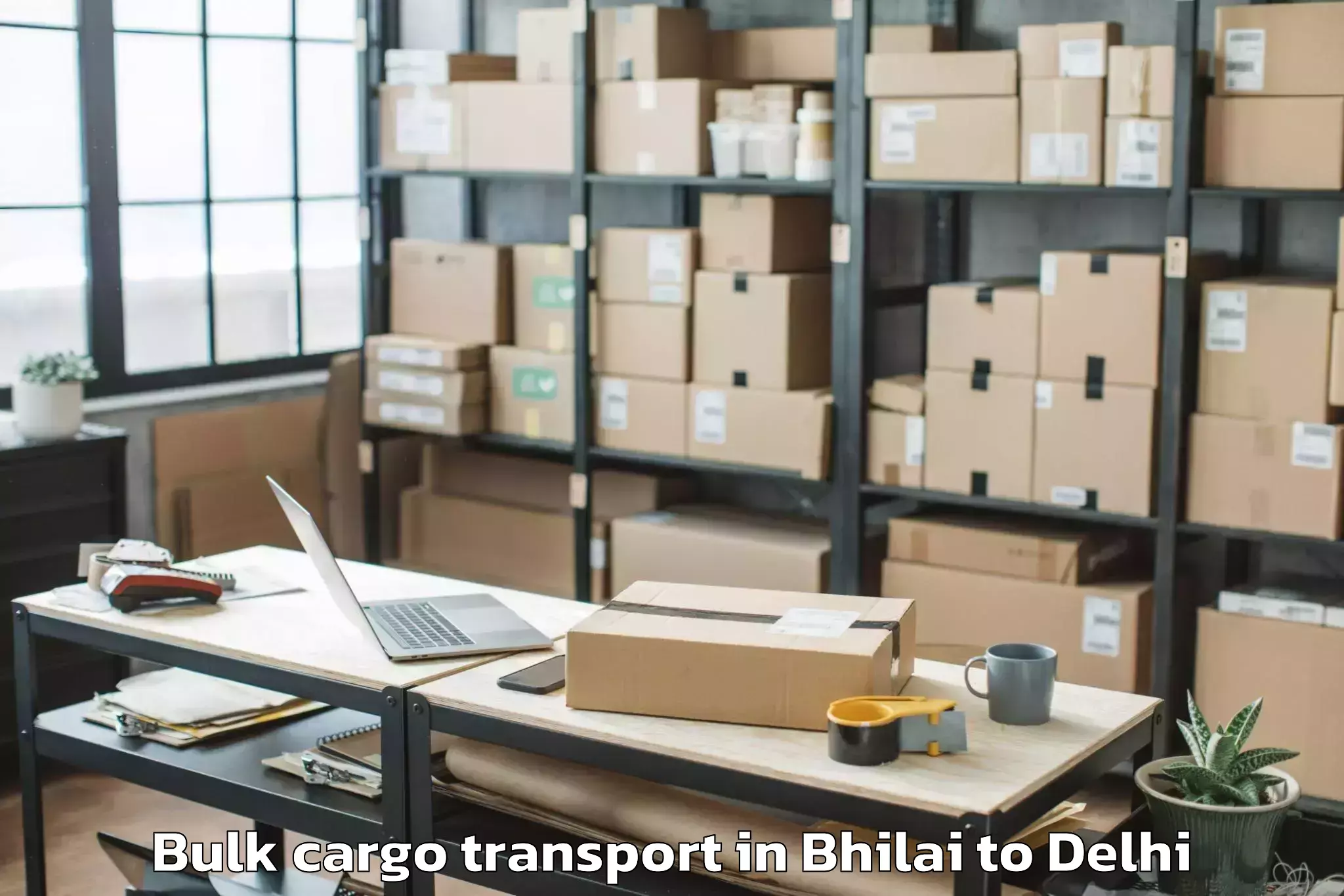 Leading Bhilai to Aggarwal City Mall Pitampura Bulk Cargo Transport Provider